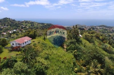 /international/vc/belmont-st-vincent-belmont-st-vincent-belmont-st-vincent-310099713442/