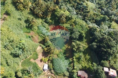 /international/vc/lowmans-st-vincent-lowmans-windward-st-vincent-lowmans-windward-st-vincent-310101336278/