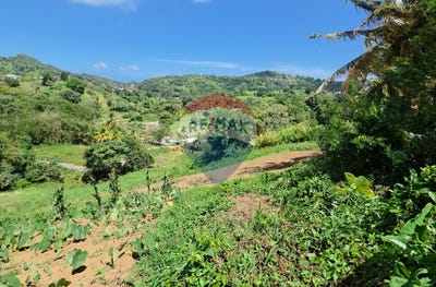 /international/vc/cane-end-st-vincent-svg-homes-and-land-properties-in-svg-mesopotamia-st-vincent-mesopotamia-st-vincent-310106911821/
