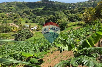 /international/vc/cane-end-st-vincent-svg-homes-and-land-properties-in-svg-mesopotamia-st-vincent-mesopotamia-st-vincent-120095267177/