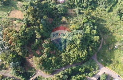/international/vc/diamonds-village-new-adelphi-diamond-village-st-vincent-diamond-village-st-vincent-120090371121/