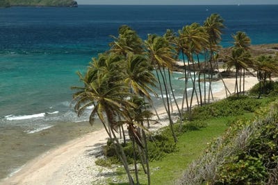 /international/vc/paget-farm-grenadines-310108792824/