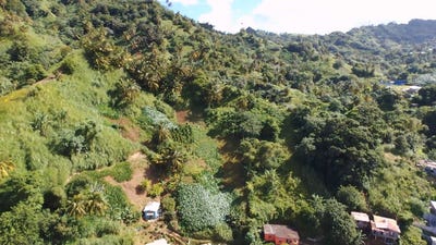 /international/vc/lowmans-st-vincent-lowmans-windward-st-vincent-lowmans-windward-st-vincent-310101336278/?lang=en