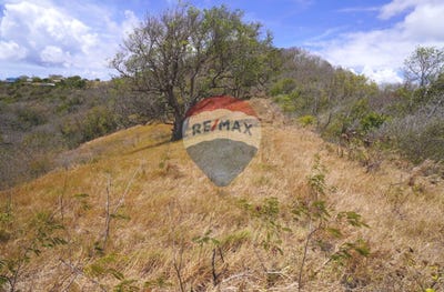 /international/vc/hope-estate-bequia-svg-hope-bequia-hope-bequia-120092085338/