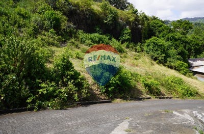 /international/vc/arnos-vale-kingstown-st-vincent-arnos-vale-st-vincent-arnos-vale-st-vincent-310101824914/