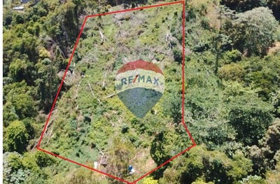/international/vc/properties-in-svg-farmlands-in-svg-caribbean-real-estate-svg-homes-and-land-remax-st-vincent-belmont-st-vincent-belmont-st-vincent-310108248166/