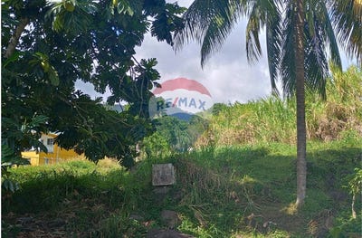 /international/vc/layou-st-vincent-svg-layou-st-vincent-layou-saint-patrick-310101209185/