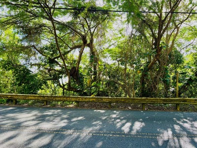 /international/vi/6-38-1-lilliendal-marienhoj-lns-6-38-1-st-thomas-00802-saint-croix-district-of-st-croix-saint-croix-district-of-st-croix-310098951557/