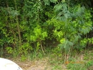 /international/vi/29-mt-victory-na-st-croix-st-croix-310102339542/