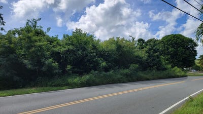 /international/vi/103-mt-pleasant-ea-st-croix-00820-mount-pleasant-estate-st-croix-mount-pleasant-estate-st-croix-310104135301/