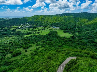 /international/vi/rem-et-al-fountain-na-st-croix-st-croix-310104062795/