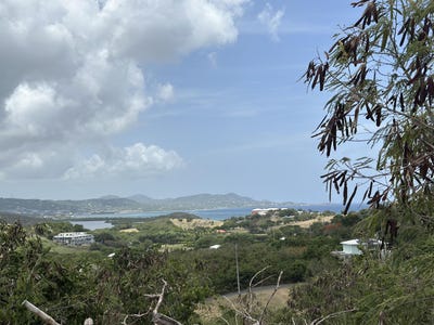 /international/vi/133-mt-pleasant-ea-133-st-croix-00820-mount-pleasant-estate-st-croix-mount-pleasant-estate-st-croix-310100877314/