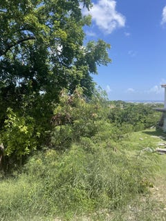 /international/vi/288-mary-s-fancy-qu-288-st-croix-00820-marys-fancy-estate-st-croix-marys-fancy-estate-st-croix-310098951516/