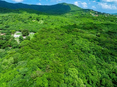 /international/vi/1-d-river-pr-st-croix-st-croix-310104062648/