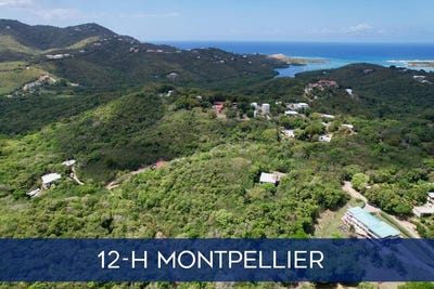/international/vi/12-h-montpellier-qu-st-croix-st-croix-310100783661/