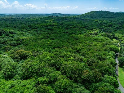 /international/vi/1-e-river-pr-st-croix-st-croix-310104144112/