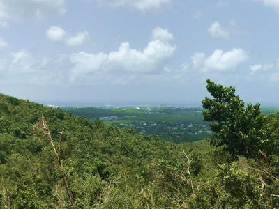 /international/vi/56-clairmont-nb-st-croix-st-croix-310100487501/