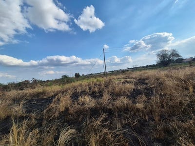 /international/za/phalaborwa-rural-limpopo-310108807419/?lang=zh-cn