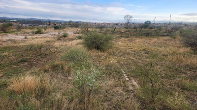 /international/za/mahlasedi-park-limpopo-310108522526/