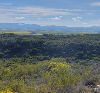 /international/za/riversdale-rural-western-cape-310108514246/
