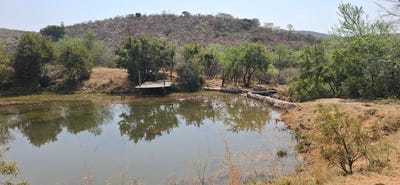 /international/za/bela-bela-limpopo-310108508576/