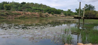 /international/za/bela-bela-limpopo-310109015985/?lang=th
