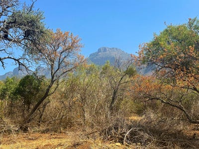 /international/za/kampersrus-limpopo-310108508225/