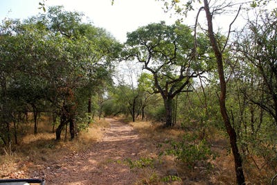 /international/za/liverpool-mpumalanga-310108807440/?lang=zh-tw