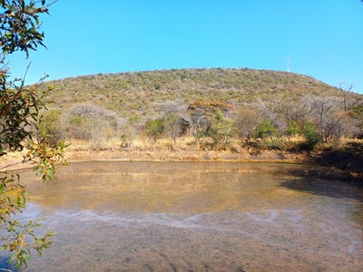 /international/za/sterkrivier-ah-limpopo-310108522018/