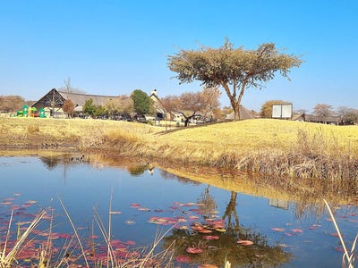 /international/za/koro-creek-golf-estate-limpopo-310108516071/