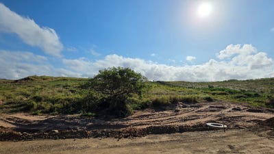/international/za/seaton-estate-kwazulu-natal-310108521225/