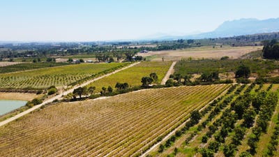 /international/za/drakenstein-road-lust-1-paarl-rural-western-cape-310108516266/