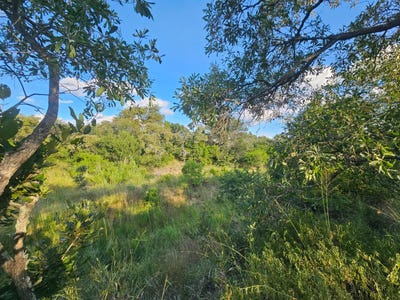 /international/za/moria-18-moditlo-wildlife-estate-limpopo-310108511920/