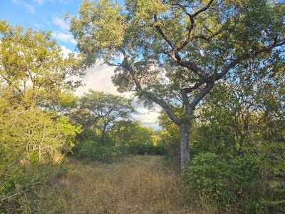 /international/za/moditlo-wildlife-estate-limpopo-310108524078/