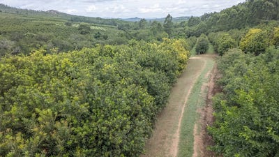 /international/za/boschjeskop-250ptn44-nelspruit-rural-mpumalanga-310108520220/
