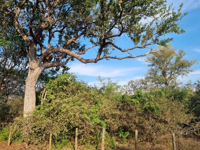 /international/za/marloth-park-mpumalanga-marloth-park-mpumalanga-310108592063/