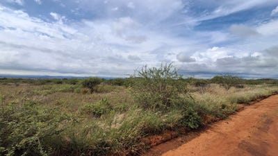 /international/za/kalkfontein-ah-1001-kalkfontein-ah-limpopo-310108524850/