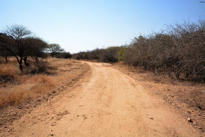 /international/za/moria-73-moditlo-wildlife-estate-limpopo-310108521721/
