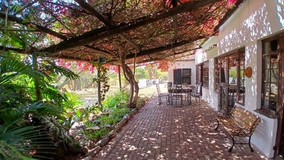 /international/za/mnandi-gauteng-310108514260/