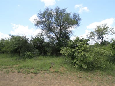 /international/za/hoedspruit-farm-49-moditlo-wildlife-estate-limpopo-310108512397/