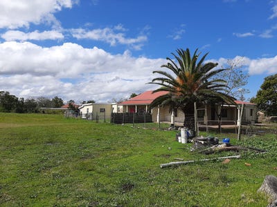 /international/za/berlin-eastern-cape-310108508289/