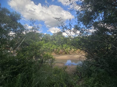 /international/za/moditlo-wildlife-estate-limpopo-310108513782/