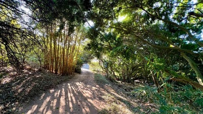 /international/za/brettenwood-coastal-estate-kwazulu-natal-310108514148/