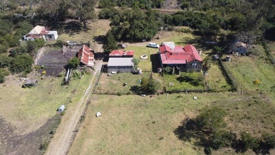 /international/za/king-williams-town-rural-eastern-cape-310108508409/
