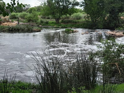 /international/za/pretoria-north-gauteng-310108521928/