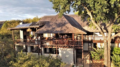 /international/za/blyde-wildlife-estate-limpopo-310108508364/