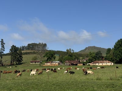 /international/za/richmond-rural-kwazulu-natal-310108670077/?lang=zh-tw