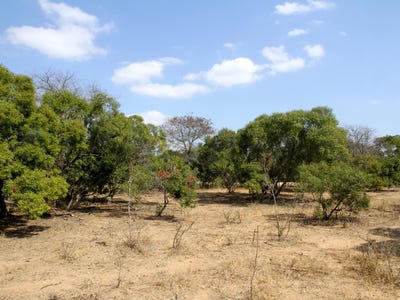 /international/za/moditlo-wildlife-estate-limpopo-310108521874/