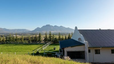 /international/za/r301-14026-paarl-rural-western-cape-310108517846/
