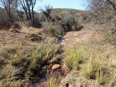 /international/za/modimolle-free-state-310108524232/